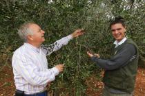 Duilio Belić in the olive grove