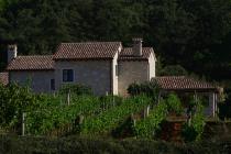  Vineyard and house