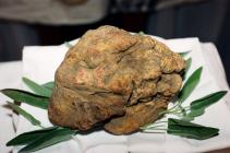  The Istrian truffle included in the Guinness world records book