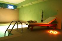 Hotel Villa Cittar, piscina interna con idromassaggio