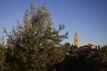  Olivenbaum Panoramablick - Glockenturm