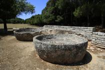  Reste von eine antiken Ölmühle auf den Brioni Inseln