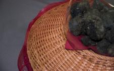 Black istrian truffles