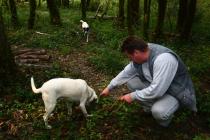 Truffle hunter Denis Tikel with his truffle dog